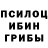 Псилоцибиновые грибы прущие грибы A Tree