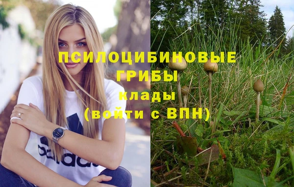 спайс Балабаново